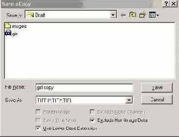 Диалоговое окно Save a Copy